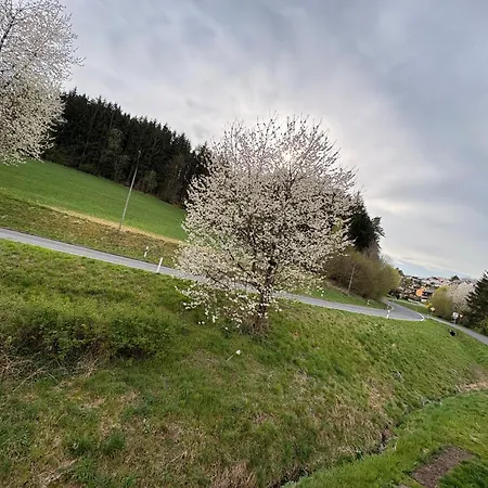 شقة Pine Retreat - Near Russweiher Eschenbach in der Oberpfalz